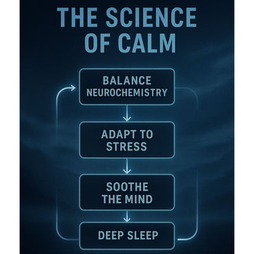 Shadow Flow Calm and Relaxation Formula