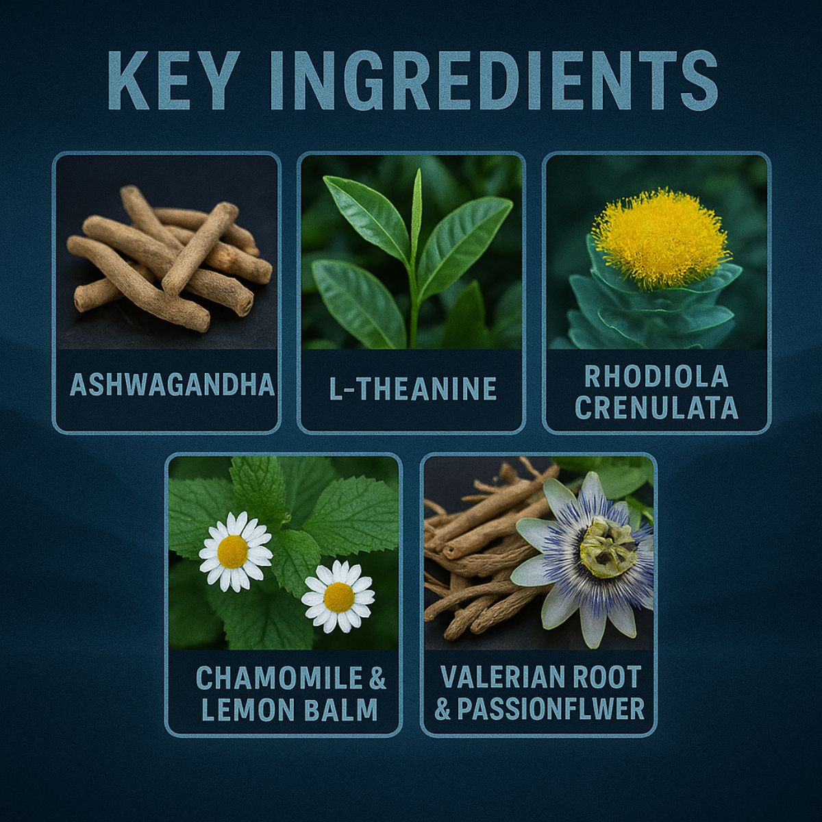 Shadow Flow Calm and Relaxation Formula