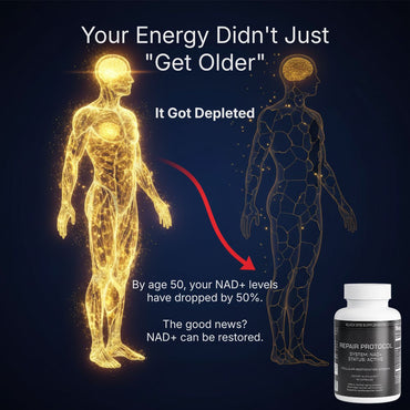Repair Protocol NAD+ Cellular Restoration Formula