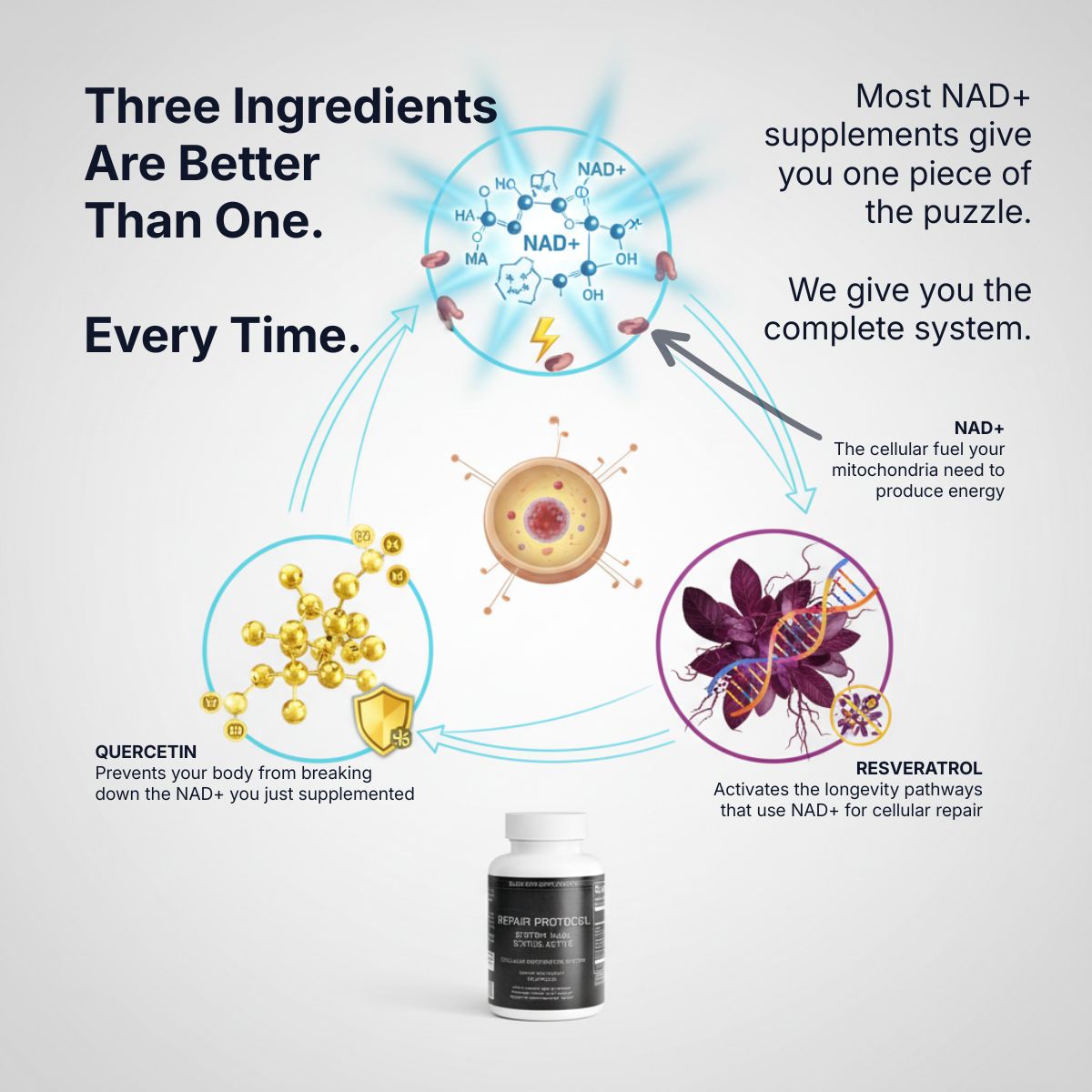 Repair Protocol NAD+ Cellular Restoration Formula