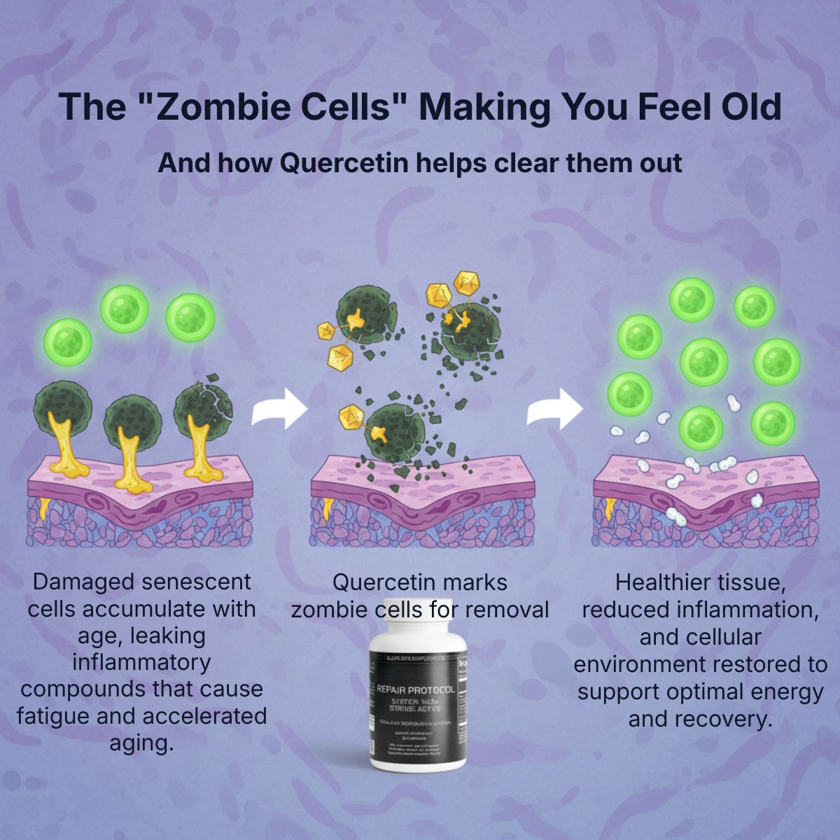 Repair Protocol NAD+ Cellular Restoration Formula