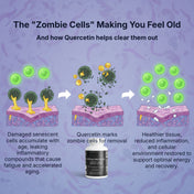 Repair Protocol NAD+ Cellular Restoration Formula