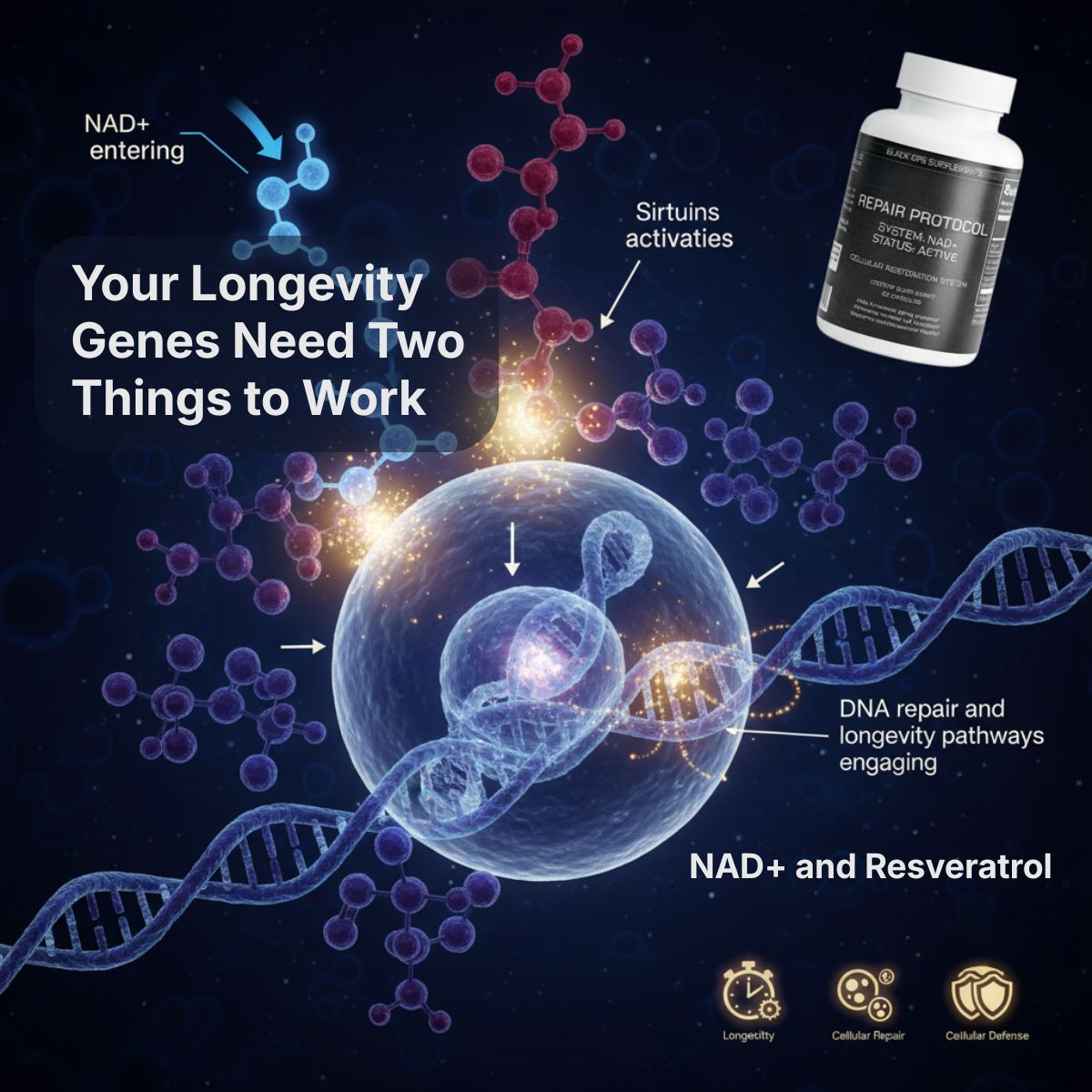 Repair Protocol NAD+ Cellular Restoration Formula